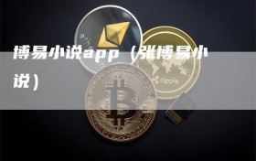 博易小说app（张博易小说）