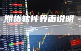期货软件界面说明
