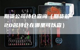 期货公司持仓查询（期货前20名持仓在哪里可以查）
