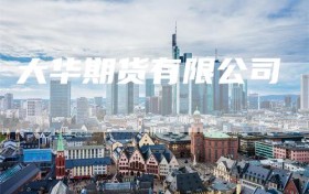 大华期货有限公司