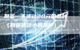 期货一手波动20元的品种（期货波动小的品种）
