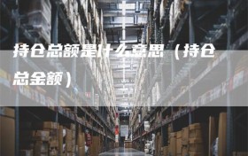 持仓总额是什么意思（持仓总金额）