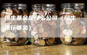 恒生基金是什么公司（恒生银行基金）