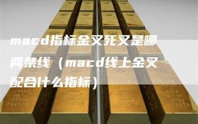 macd指标金叉死叉是哪两条线（macd线上金叉配合什么指标）