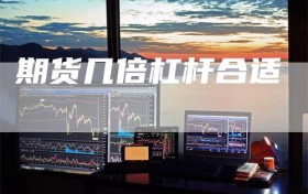 期货几倍杠杆合适