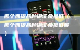 哪个期货品种保证金最低（哪个期货品种保证金最低呢）