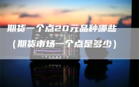 期货一个点20元品种哪些（期货市场一个点是多少）