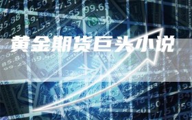 黄金期货巨头小说