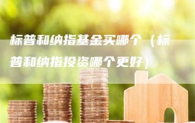 标普和纳指基金买哪个（标普和纳指投资哪个更好）