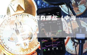 中国海油股票有哪些（中海油的股票）