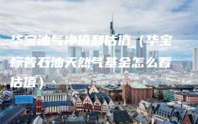华宝油气净值和估值（华宝标普石油天然气基金怎么看估值）