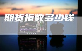 期货指数多少钱