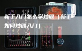 新手入门怎么学炒股（新手如何炒股入门）