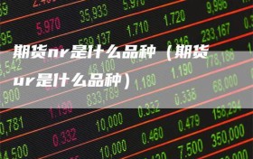 期货nr是什么品种（期货ur是什么品种）