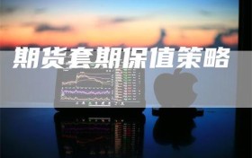 期货套期保值策略