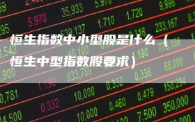 恒生指数中小型股是什么（恒生中型指数股要求）
