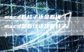 macd看柱子还是看线（macd是看线还是看柱子）