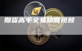 期货高手交易精髓视频