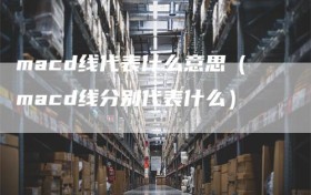 macd线代表什么意思（macd线分别代表什么）