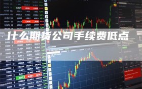 什么期货公司手续费低点