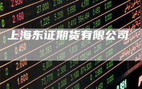 上海东证期货有限公司