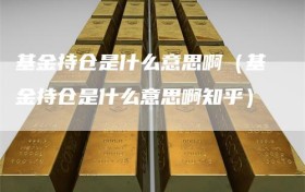 基金持仓是什么意思啊（基金持仓是什么意思啊知乎）