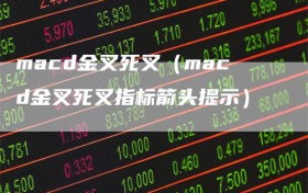 macd金叉死叉（macd金叉死叉指标箭头提示）