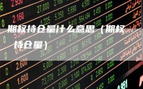 期权持仓量什么意思（期权 持仓量）