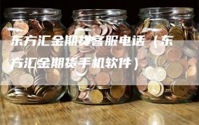 东方汇金期货客服电话（东方汇金期货手机软件）