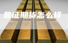 鲁证期货怎么样