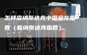 怎样查纳斯达克中国金龙指数（看纳斯达克指数）