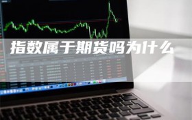 指数属于期货吗为什么