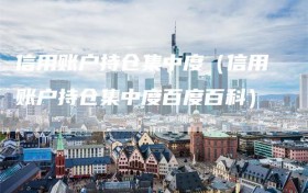 信用账户持仓集中度（信用账户持仓集中度百度百科）