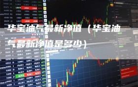 华宝油气最新净值（华宝油气最新净值是多少）