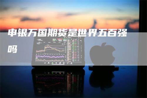 申银万国期货是世界五百强吗