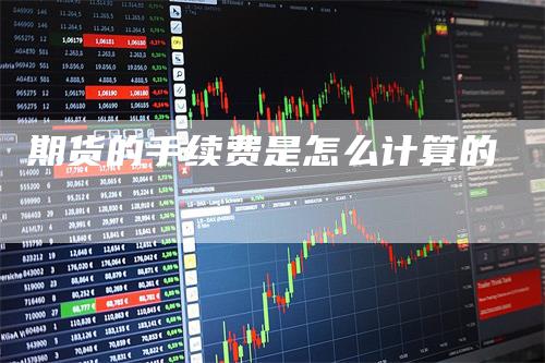 期货的手续费是怎么计算的