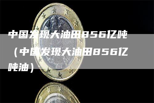 中国发现大油田856亿吨（中国发现大油田856亿吨油）