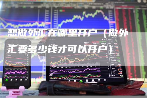 想做外汇在哪里开户（做外汇要多少钱才可以开户）