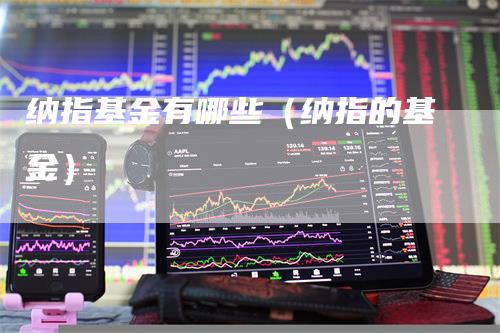 纳指基金有哪些（纳指的基金）