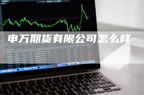 申万期货有限公司怎么样
