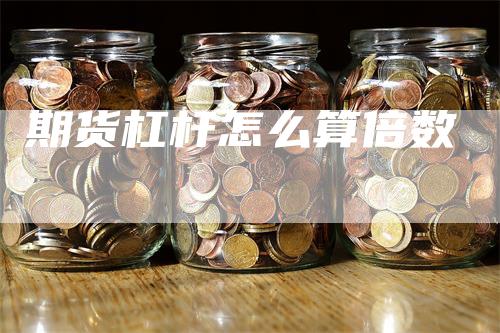 期货杠杆怎么算倍数