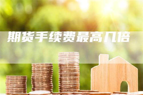 期货手续费最高几倍
