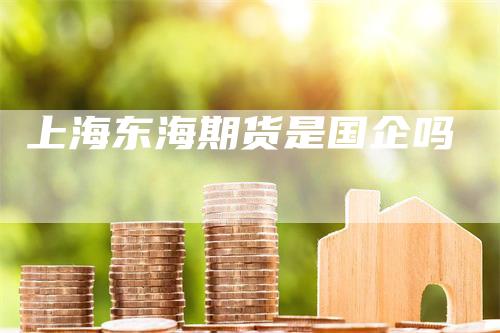 上海东海期货是国企吗
