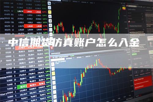 中信期货仿真账户怎么入金