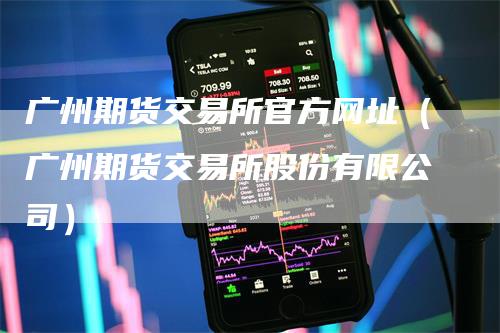 广州期货交易所官方网址（广州期货交易所股份有限公司）