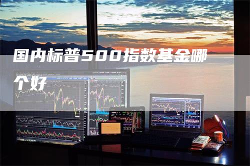 国内标普500指数基金哪个好