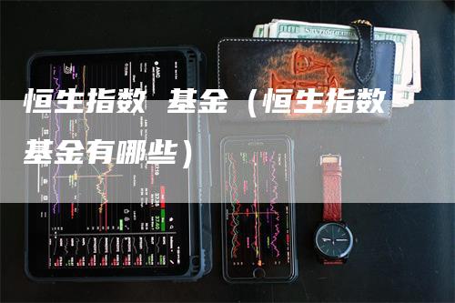 恒生指数 基金（恒生指数基金有哪些）