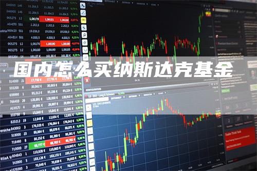 国内怎么买纳斯达克基金