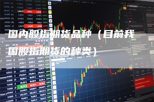 国内股指期货品种（目前我国股指期货的种类）