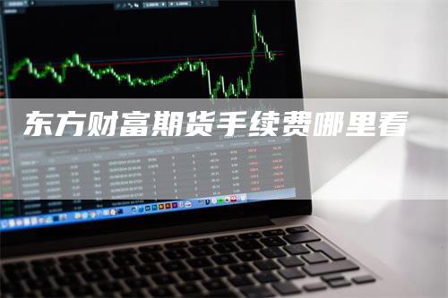 东方财富期货手续费哪里看